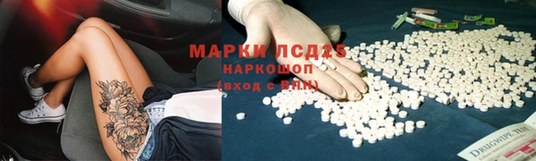 прущие грибы Аркадак