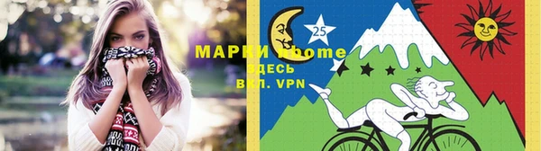 прущие грибы Аркадак