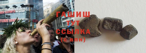 прущие грибы Аркадак