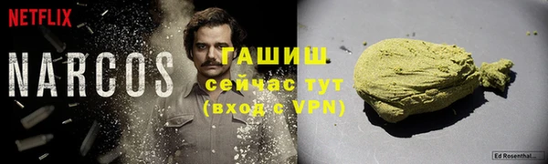 прущие грибы Аркадак