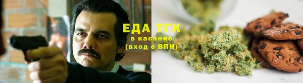 прущие грибы Аркадак