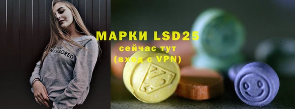 прущие грибы Аркадак