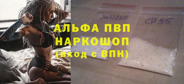 прущие грибы Аркадак
